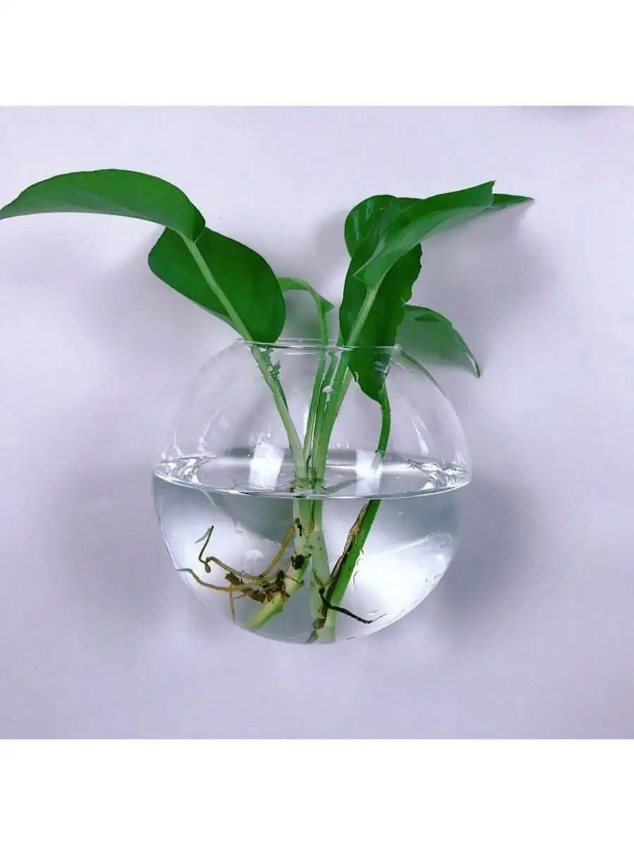 Luna Glass Terrarium