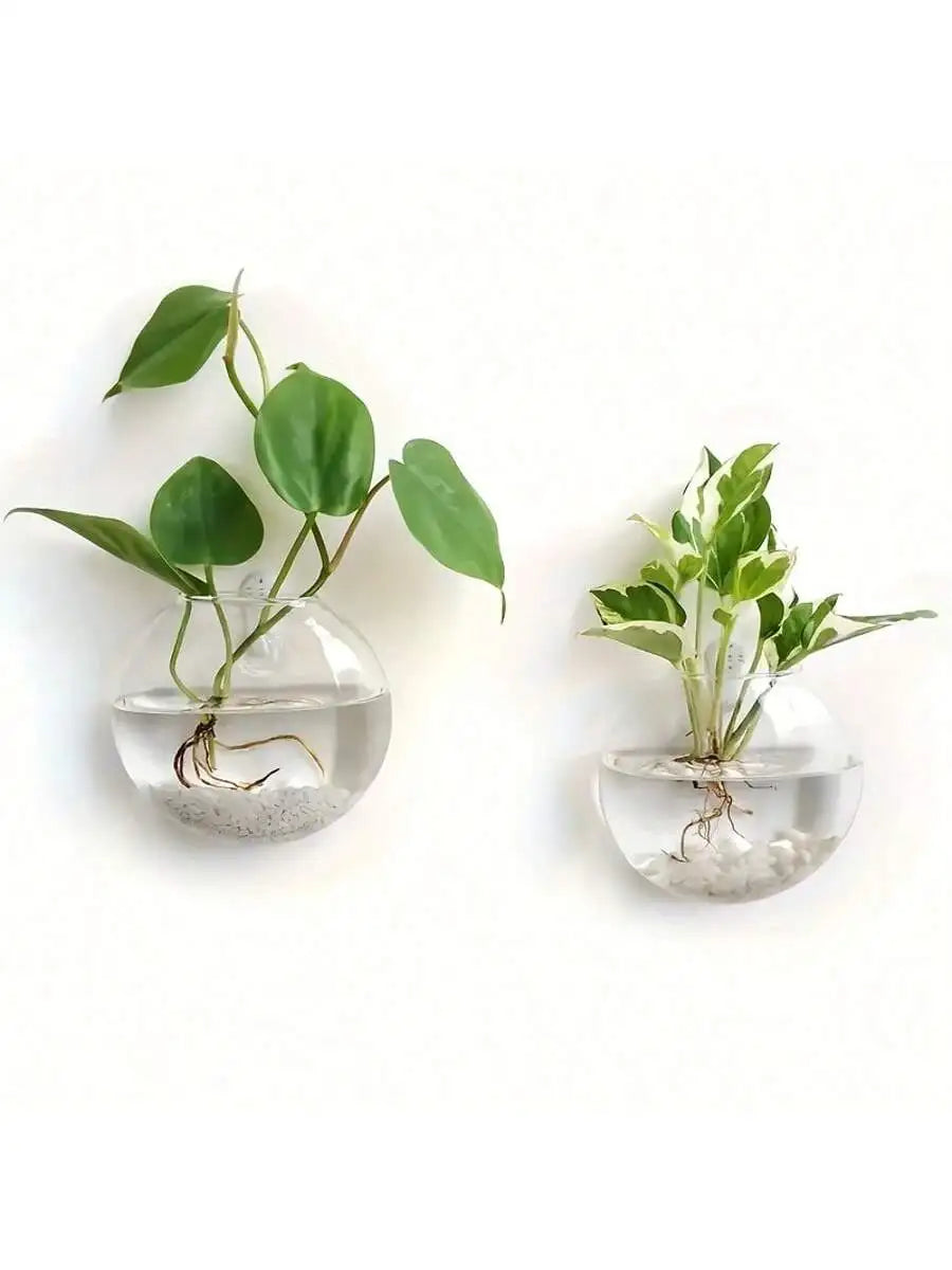 Luna Glass Terrarium