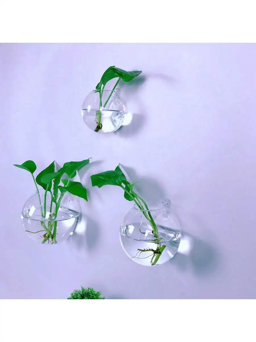 Luna Glass Terrarium