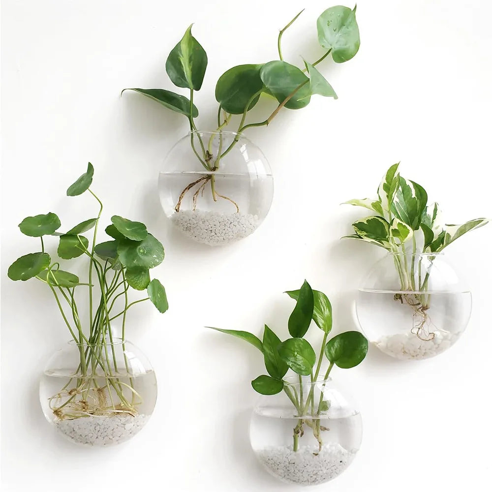 Luna Glass Terrarium
