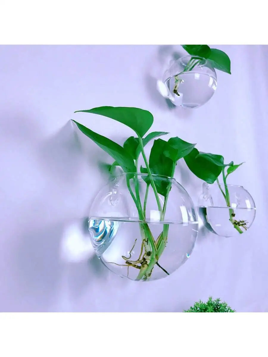 Luna Glass Terrarium