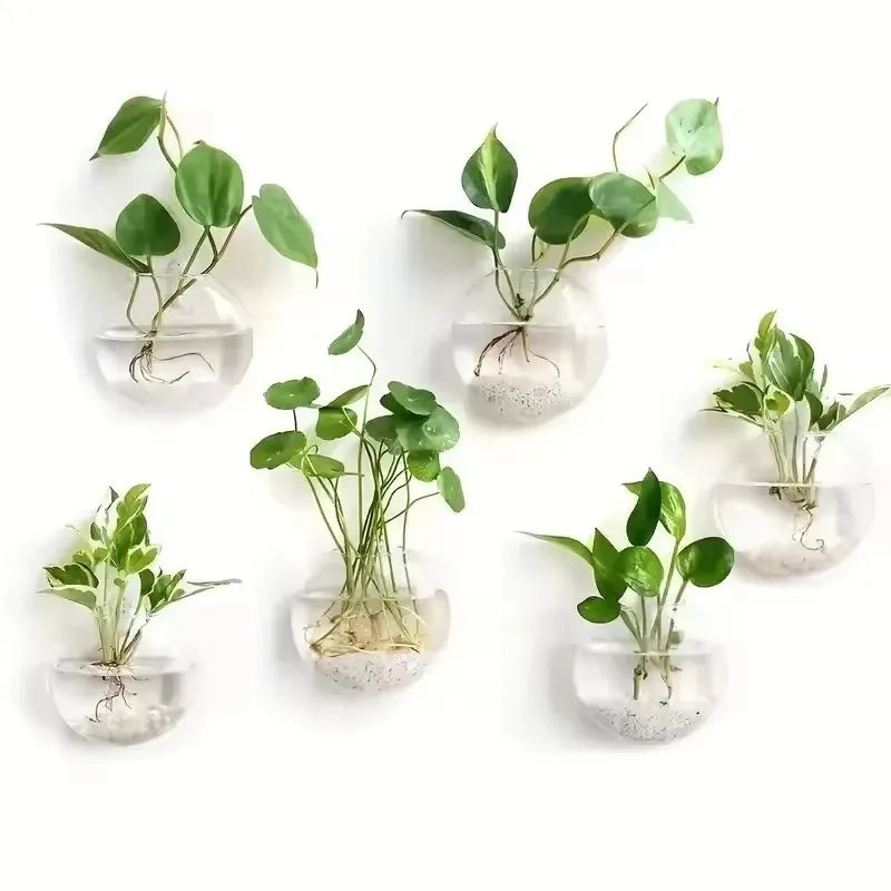 Luna Glass Terrarium