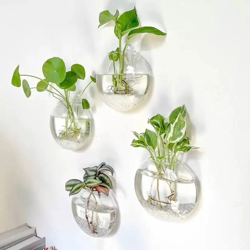 Luna Glass Terrarium